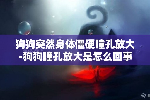 狗狗突然身体僵硬瞳孔放大-狗狗瞳孔放大是怎么回事?