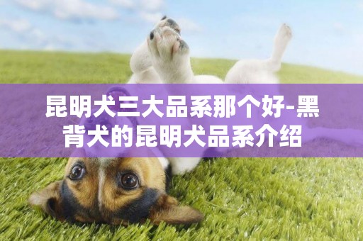 昆明犬三大品系那个好-黑背犬的昆明犬品系介绍