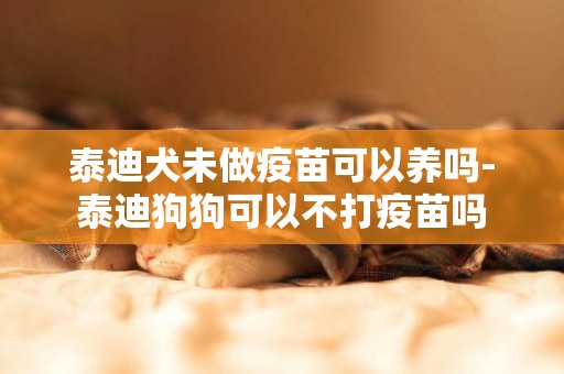 泰迪犬未做疫苗可以养吗-泰迪狗狗可以不打疫苗吗