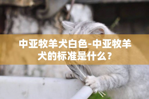 中亚牧羊犬白色-中亚牧羊犬的标准是什么？