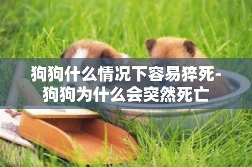 狗狗什么情况下容易猝死-狗狗为什么会突然死亡