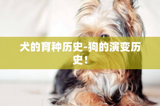 犬的育种历史-狗的演变历史！