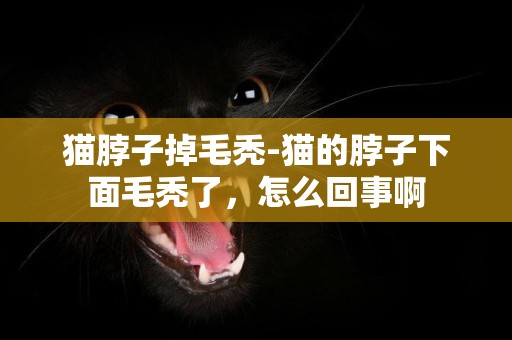 猫脖子掉毛秃-猫的脖子下面毛秃了，怎么回事啊