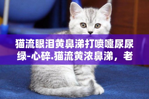 猫流眼泪黄鼻涕打喷嚏尿尿绿-心碎.猫流黄浓鼻涕，老打喷嚏，会不会是猫瘟