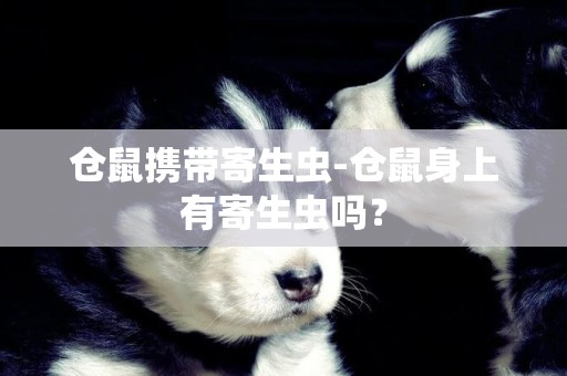 仓鼠携带寄生虫-仓鼠身上有寄生虫吗？