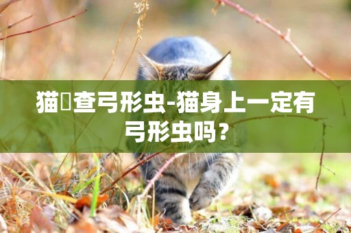 猫檢查弓形虫-猫身上一定有弓形虫吗？