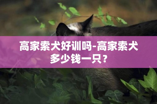 高家索犬好训吗-高家索犬多少钱一只？