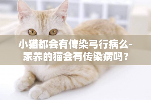 小猫都会有传染弓行病么-家养的猫会有传染病吗？