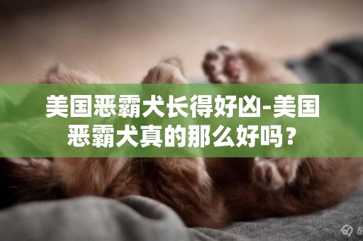 美国恶霸犬长得好凶-美国恶霸犬真的那么好吗？