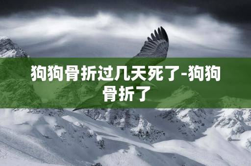 狗狗骨折过几天死了-狗狗骨折了