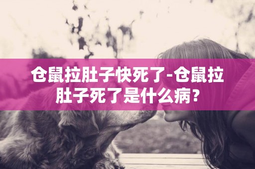 仓鼠拉肚子快死了-仓鼠拉肚子死了是什么病？