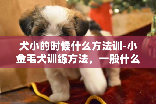 犬小的时候什么方法训-小金毛犬训练方法，一般什么时候开始