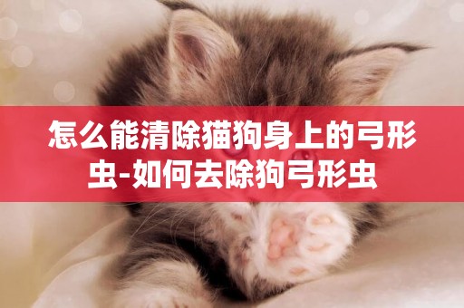 怎么能清除猫狗身上的弓形虫-如何去除狗弓形虫