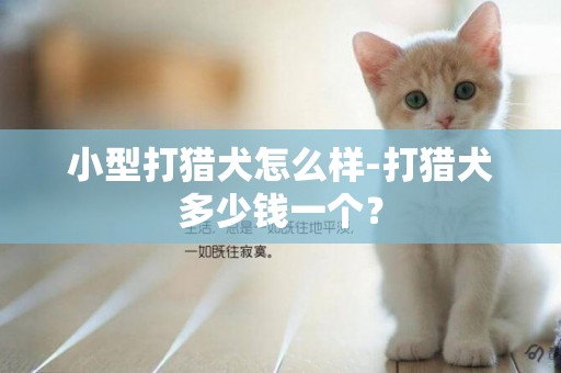 小型打猎犬怎么样-打猎犬多少钱一个？