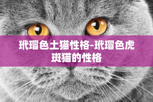 玳瑁色土猫性格-玳瑁色虎斑猫的性格