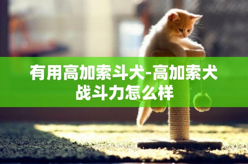 有用高加索斗犬-高加索犬战斗力怎么样