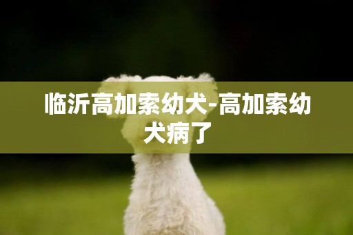 临沂高加索幼犬-高加索幼犬病了