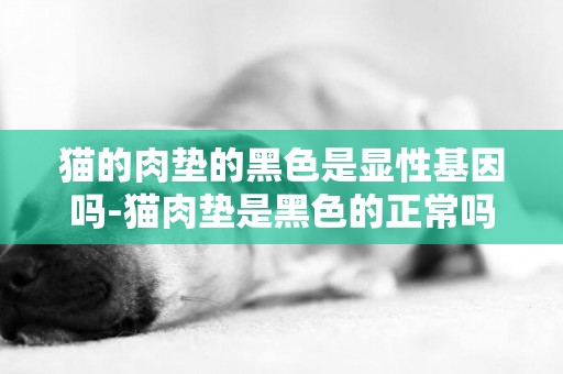 猫的肉垫的黑色是显性基因吗-猫肉垫是黑色的正常吗？