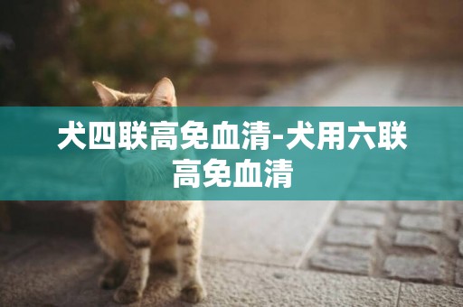 犬四联高免血清-犬用六联高免血清