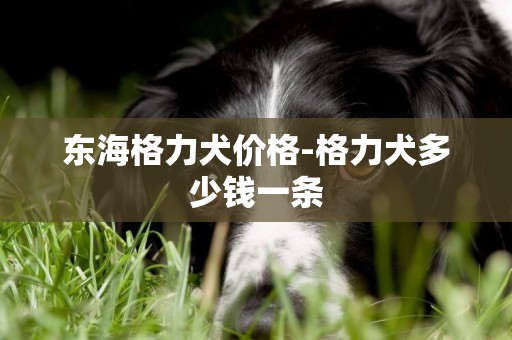 东海格力犬价格-格力犬多少钱一条