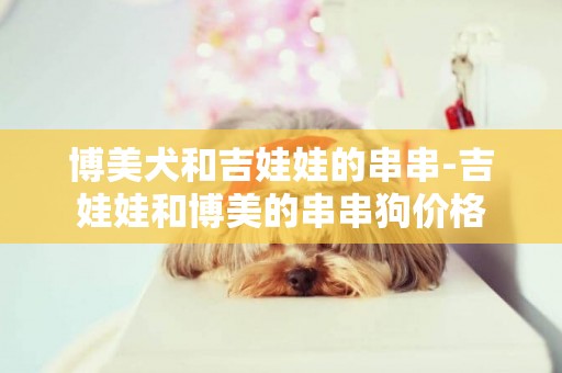 博美犬和吉娃娃的串串-吉娃娃和博美的串串狗价格