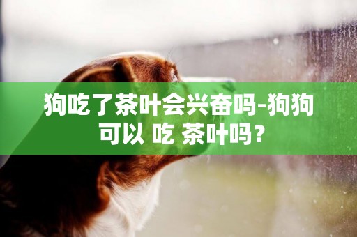 狗吃了茶叶会兴奋吗-狗狗 可以 吃 茶叶吗？