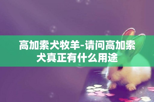 高加索犬牧羊-请问高加索犬真正有什么用途