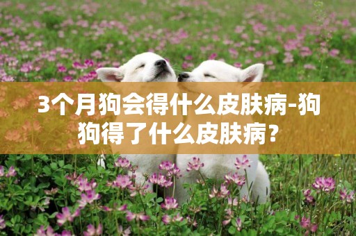 3个月狗会得什么皮肤病-狗狗得了什么皮肤病？