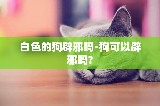 白色的狗辟邪吗-狗可以辟邪吗?