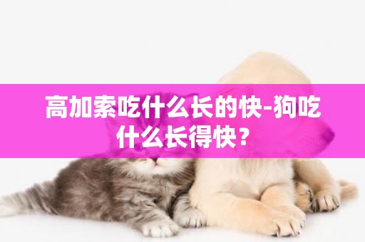 高加索吃什么长的快-狗吃什么长得快？