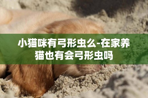 小猫咪有弓形虫么-在家养猫也有会弓形虫吗