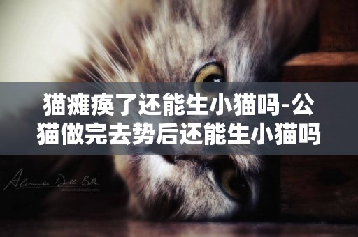 猫瘫痪了还能生小猫吗-公猫做完去势后还能生小猫吗