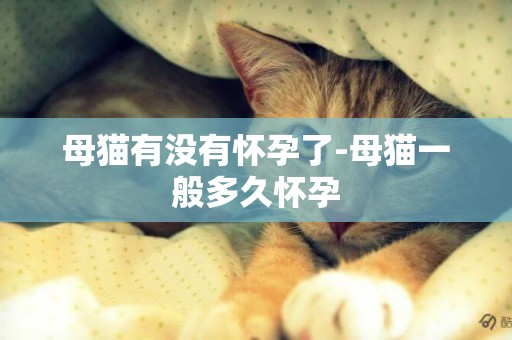 母猫有没有怀孕了-母猫一般多久怀孕