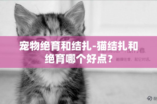 宠物绝育和结扎-猫结扎和绝育哪个好点？