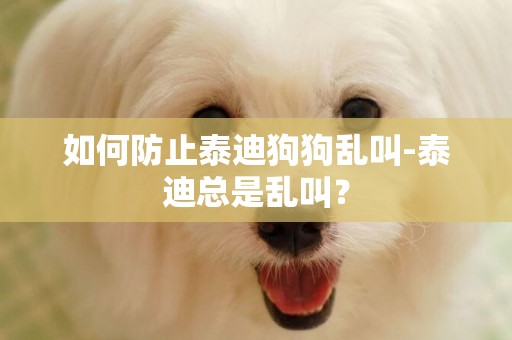 如何防止泰迪狗狗乱叫-泰迪总是乱叫？