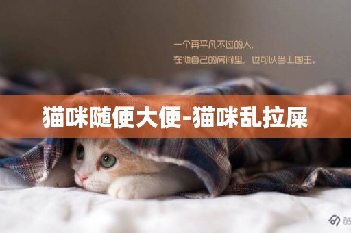 猫咪随便大便-猫咪乱拉屎