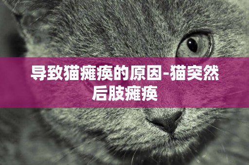 导致猫瘫痪的原因-猫突然后肢瘫痪