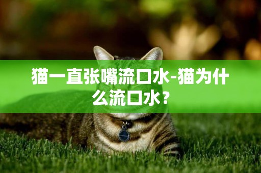 猫一直张嘴流口水-猫为什么流口水？