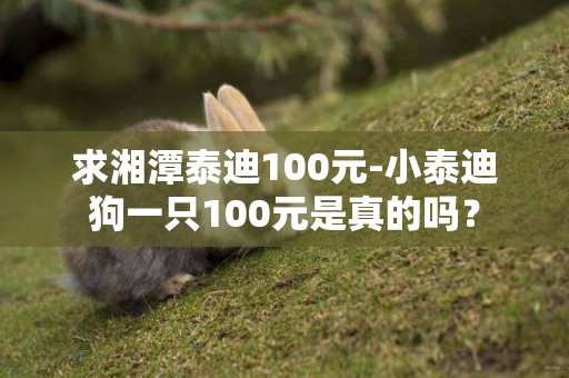 求湘潭泰迪100元-小泰迪狗一只100元是真的吗？