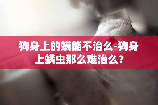 狗身上的螨能不治么-狗身上螨虫那么难治么？