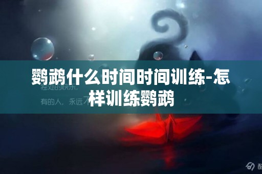 鹦鹉什么时间时间训练-怎样训练鹦鹉