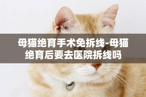 母猫绝育手术免拆线-母猫绝育后要去医院拆线吗