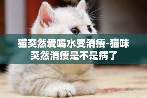 猫突然爱喝水变消瘦-猫咪突然消瘦是不是病了