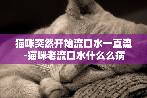 猫咪突然开始流口水一直流-猫咪老流口水什么么病