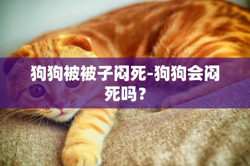 狗狗被被子闷死-狗狗会闷死吗？