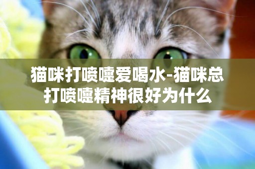 猫咪打喷嚏爱喝水-猫咪总打喷嚏精神很好为什么