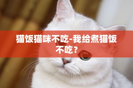 猫饭猫咪不吃-我给煮猫饭不吃？