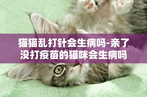 猫猫乱打针会生病吗-亲了没打疫苗的猫咪会生病吗