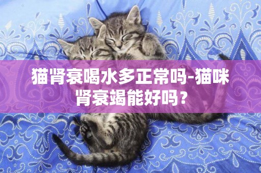 猫肾衰喝水多正常吗-猫咪肾衰竭能好吗？