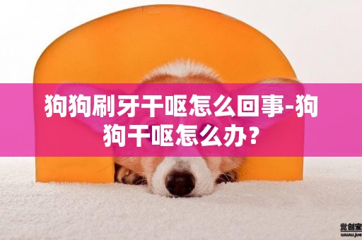 狗狗刷牙干呕怎么回事-狗狗干呕怎么办？